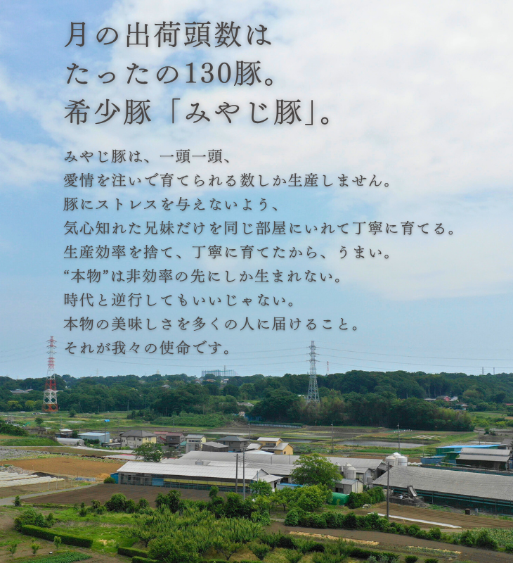 みやじ豚とは